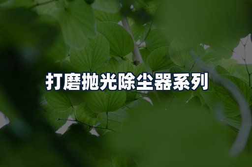 打磨抛光除尘器
